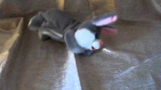 Веселый заяц (видео)