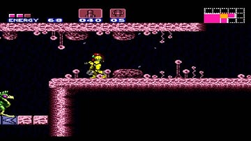 Super Metroid: Confused Dachora