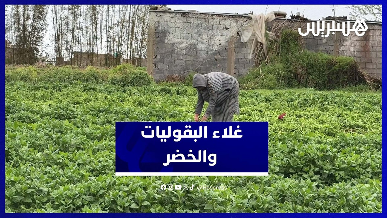 ارتفاع أسعار البقوليات والخضر الربيعية.. فلاحون يبررون ومواطنون يشتكون