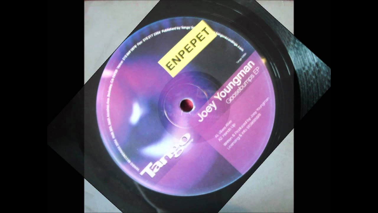 Joey Youngman - Vibes Alive (Original)