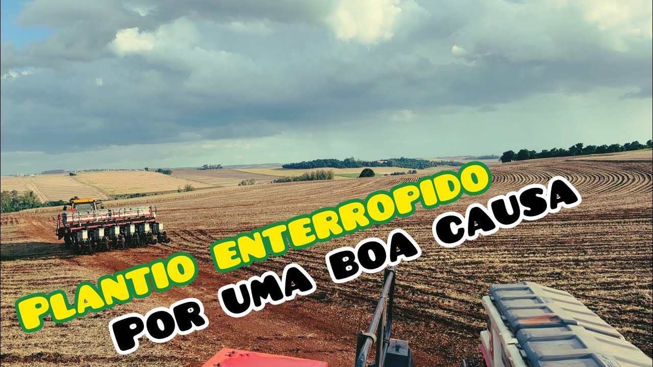 ✅ PLANTIO DO MILHO SAFRINHA 26  -  SEGUE NO DOZE CHOVENDO BEM!🇧🇷🌧️