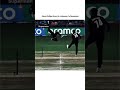 Glenn Philips #philips #feilding #newsland #cricket #catching #flying