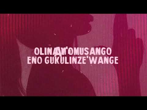 Dax Vibez Akati Official Lyrics Video 