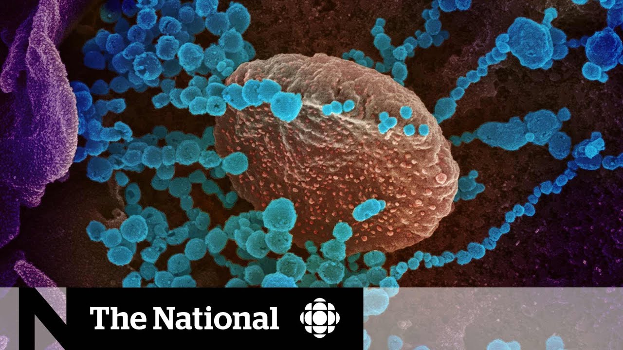 When could COVID-19 cases peak in Canada?