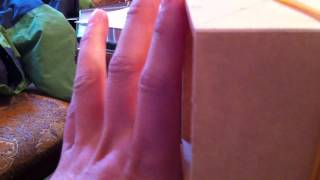 IMG 3395