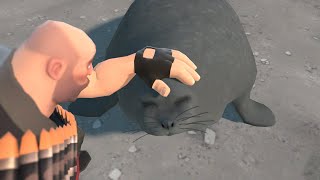 Pet The Seal