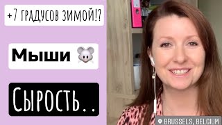 МИНУСЫ ЖИЗНИ В БЕЛЬГИИ 🇧🇪 ПРО ЖИЛЬЁ / ЭТОГО ВЫ ТОЧНО НЕ ЗНАЛИ / обзор нашей старой квартиры