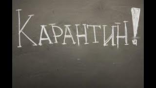 Карантинные вопросы