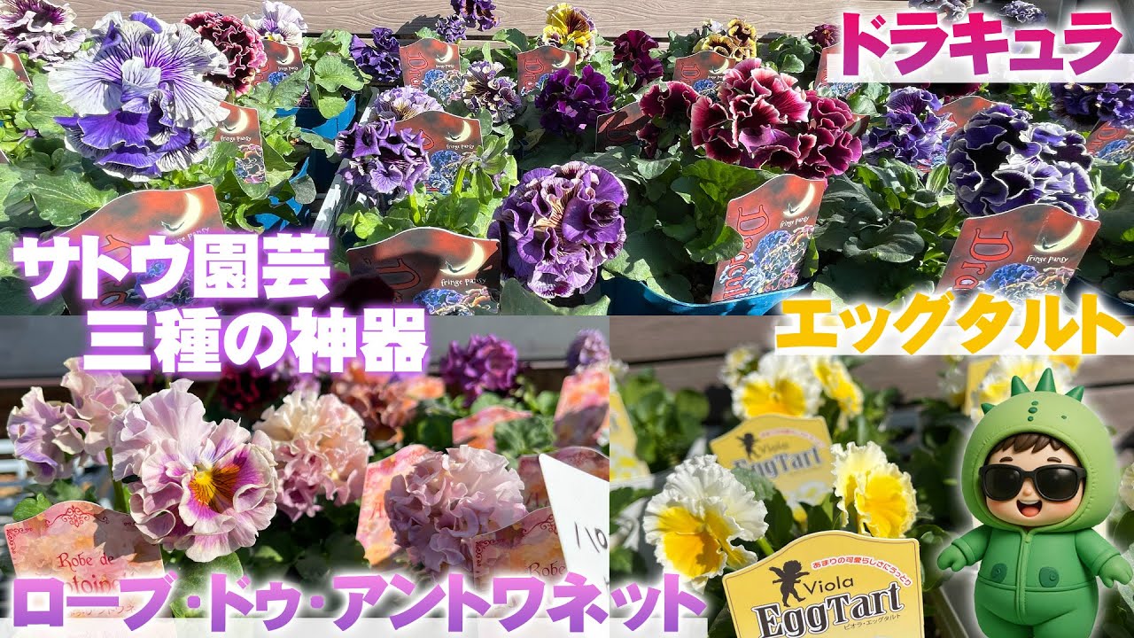 Toge D🌵Muttering to himself] If I ever find Sato Gardening's