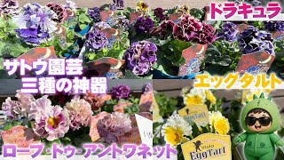 植栽 Toge D🌵Muttering to himself] If I ever find Sato Gardening's