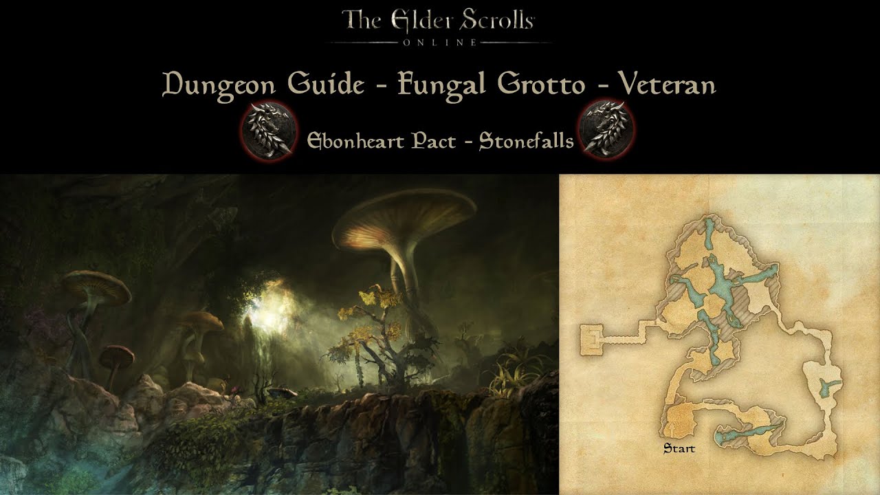 ESO Fungal Grotto Veteran Dungeon Guide YouTube