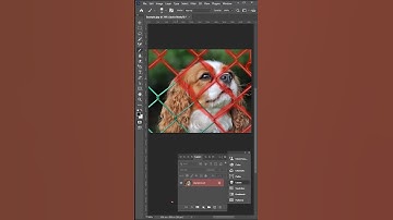 Remove Fence with unique techniques