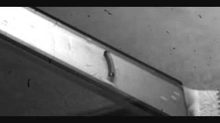 Roll up, roll up! Polymer powered by solvent screenshot 5