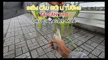 ĐIỂM CÂU CÁ LÍ TƯỞNG Ở CẦN THƠ| CÂU CÁ CẦN THƠ