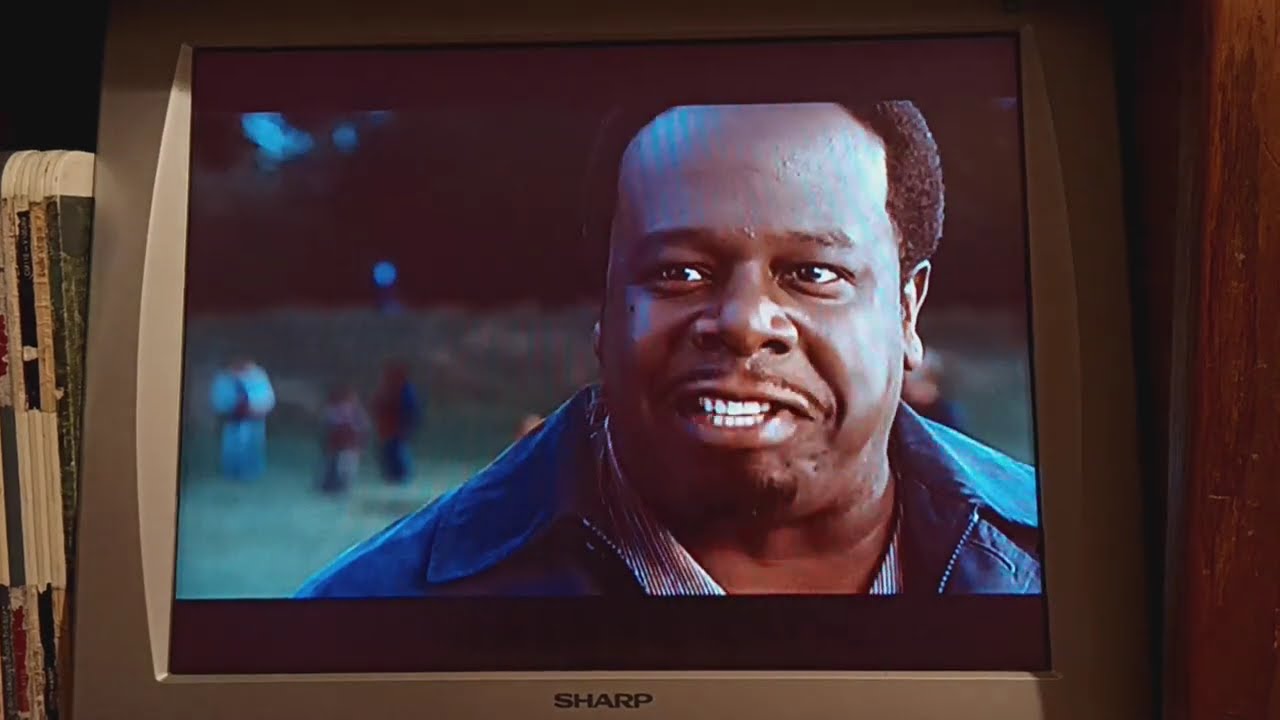 Opening To Flipper (1996) 2003 DVD - YouTube