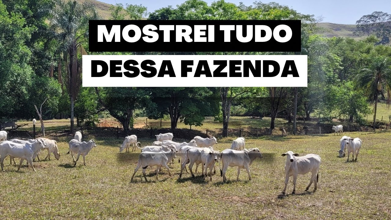MOSTREI TUDO DESSA FAZENDA (Canas - SP)