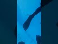 We went scuba diving in a glacier pool in Alaska.  Learned some lessons 😂