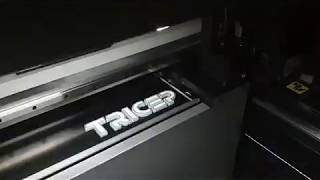 Full-colour 3D printing at TRICEP