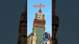 Islamic shorts video#madrsa #islamic #hijab#cute #abay #naatstatus #hijabgirl #attitude #muslimgirl