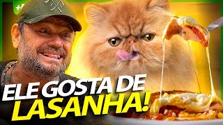 GATO EXÓTICO PERSA HIMALAIA, ELE AMA COMER LASANHA?! | RICHARD RASMUSSEN