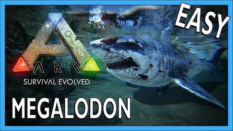 How To Tame A Megalodon In Ark Survival Evolved