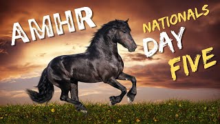 AMHR Nationals Mustang Arena (Sept 11th)