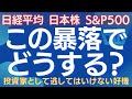 暴落の先にある大チャンス!【日経平均、S&P500】次の勝負ポイント!年末高は?日米株と世界経済の行方を読む! #日経平均 #SP500 #株式投資 #暴落 #日本株 #米国株 #景気後退