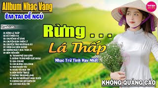 Rừng Lá Thấp ➤ Liên Khúc Rumba Hải Ngoại Hay Nhất Vượt Thời Gian, Nghe Thử Một Lần Bạn Sẽ Nghiện