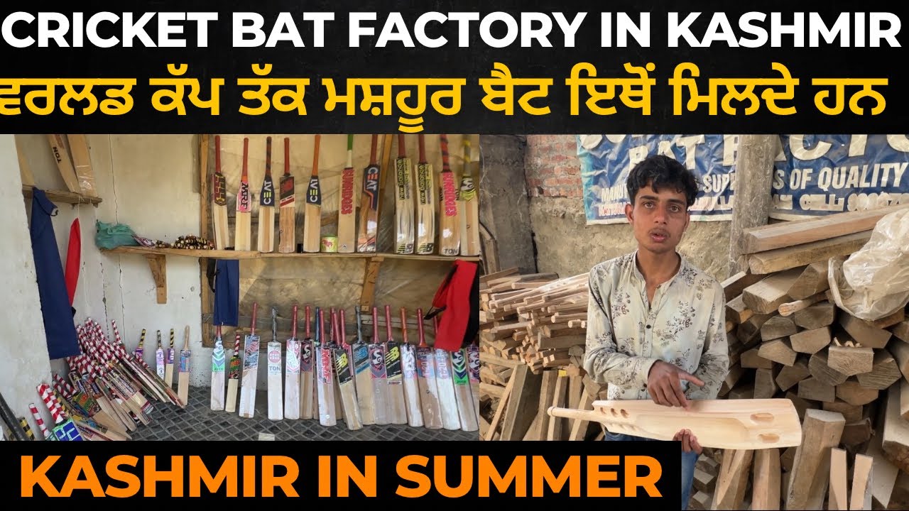 Cricket bat factory in Kashmir cricket bat Kashmir willow price