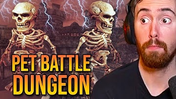 Asmongold First Pet Battle Dungeon (Patch 8.2: Stratholme)