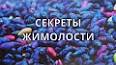 Голубые зоны: Секреты долголетия от самых здоровых людей в мире ile ilgili video