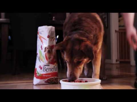 beneful-dog-food-commercial