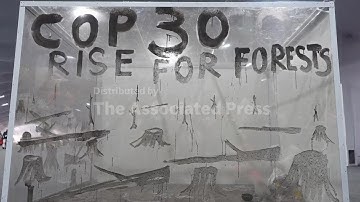Ashes of the Forest calls for bold action at COP30