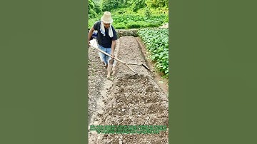 Tree Fork Tool Hack: 2-in-1 Farming Tool | DIY Farm Equipment