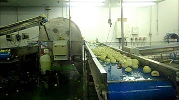 Onion Peeling Productions Line