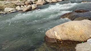 Dudhia Picnic Spot | A hidden beauty of dudhia | dudhia bridge | Upper dudhia #siliguritour