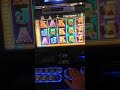 Max bet pokie machine