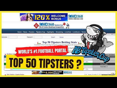 How to use the Top 50 Tipsters Betting Stats on Asian Bookie ?