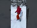 The Stages of Searching an Avalanche with a Beacon/ Transceiver