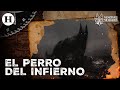 El Alcuiz: El Perro del infierno que siembra el terror en los bosques de Colima |Monstruos Mexicanos