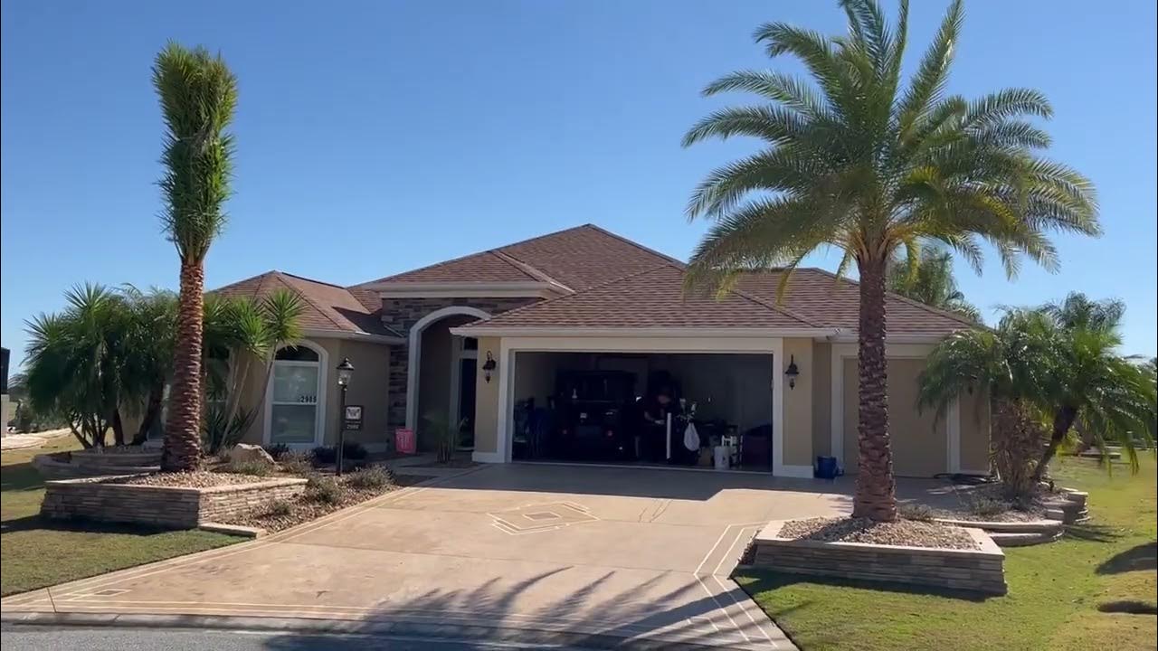 Sylvester Palm Replacement/Large Palms and Trees/The Tree Planters Installing Trees for 50 Years