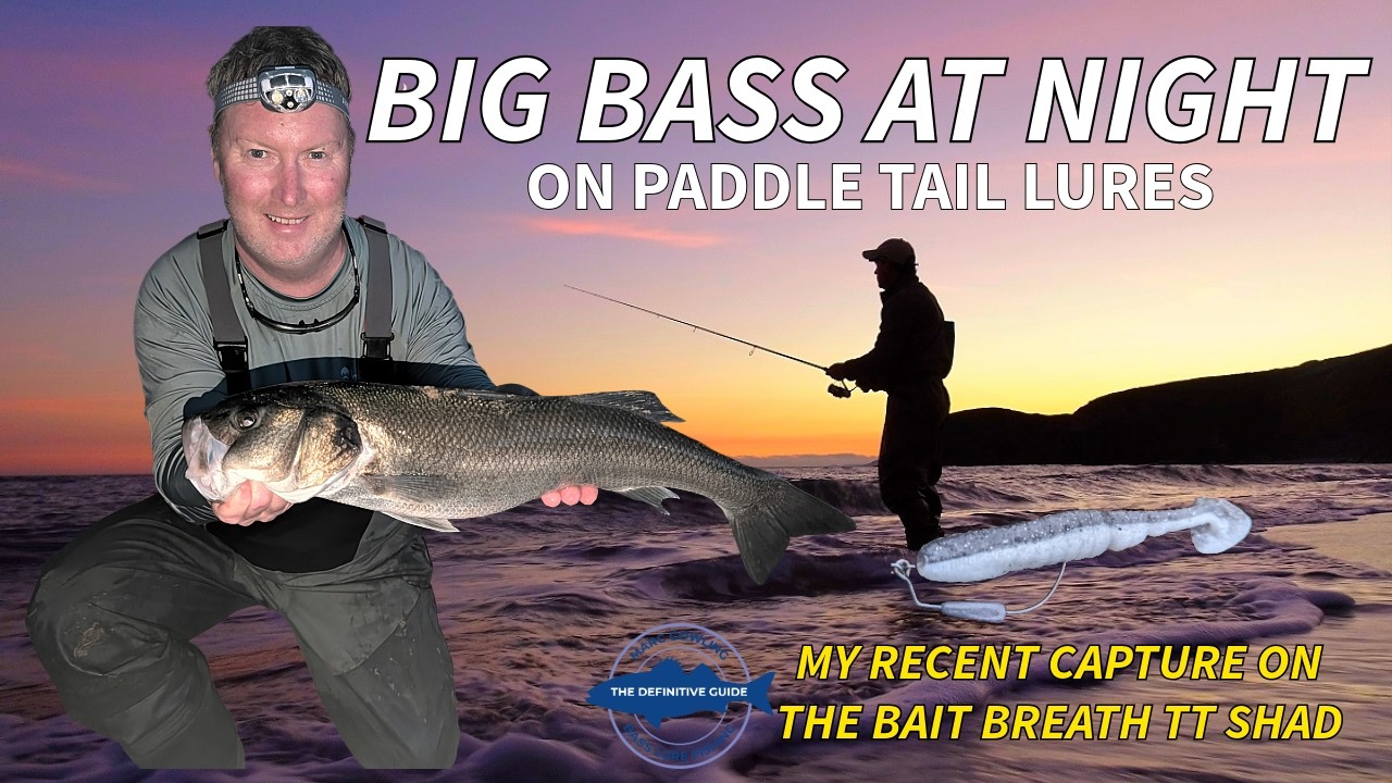 BIG BASS AT NIGHT ON PADDLE TAIL LURES | A RECENT CAPTURE OF MINE ON THE BAIT BREATH TT SHAD