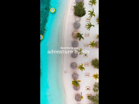 Morning walks, Dutch bikes, pickleball...All better with your best friend at Sandals Royal Curaçao.
