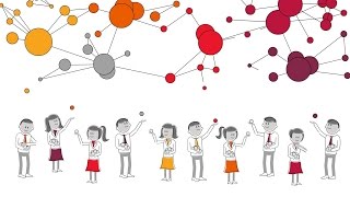 Knowledge Graph Sizzle - 2015
