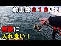 【茨城県某所】初春の海釣り施設で陸から高級魚が3桁越え！？最強の仕掛けで無限に入れ食い！関東地方の太平洋に面している釣り場で、今季好調のとある魚を狙って釣りしてみたら…！【2026年3月中旬～下旬】