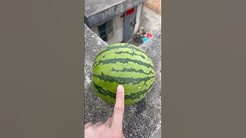 Experiment: Will a watermelon or pineapple explode if it rolls down from a tall building?#shorts