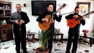 Video thumbnail of "ZAMBA DE MI ESPERANZA. CLASETRIO"