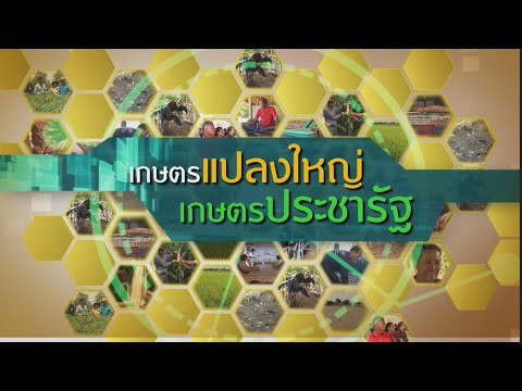 สินเชื่อ ๒.๓ หมื่นล้านจูงใจชาวนาร่วมเกษตรแปลงใหญ่