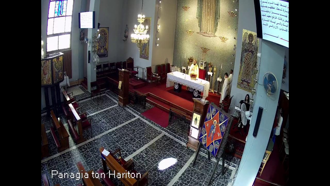 أحد بشارة زكريا، الساعة 11.30 صباحاً