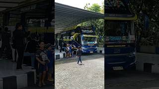 Telolet Basuri Draka🐍dan Bus Tronton Rimba Raya🔥🔥#busmania #basuri #telolet screenshot 5